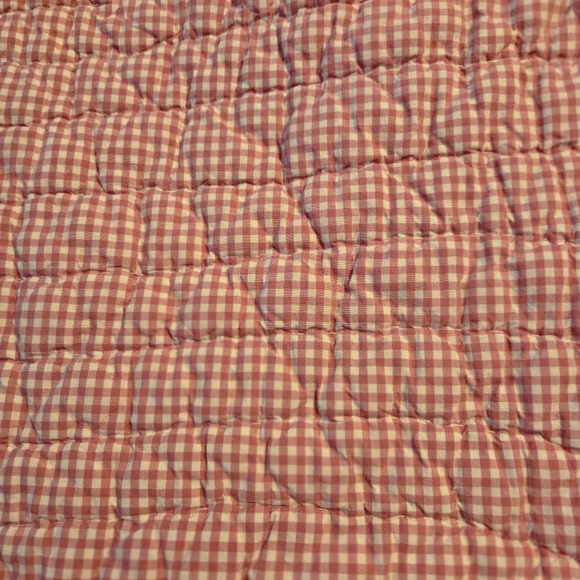 Pottery Barn Kids Eric Carle The Very Hungry Caterpillar Butterfly Gingham Quilt - Picture 3 of 16